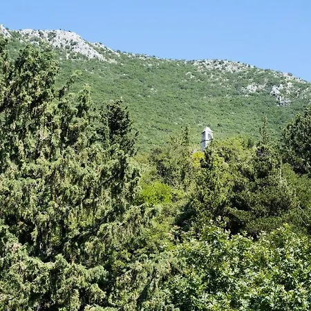 Holiday home La Olga Lefkada *