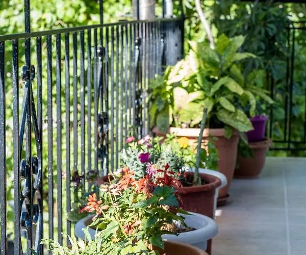 La Olga Lefkada Sívros