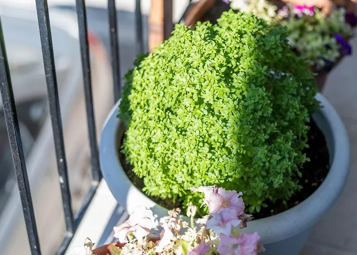 Casa de Férias La Olga Lefkada Sívros